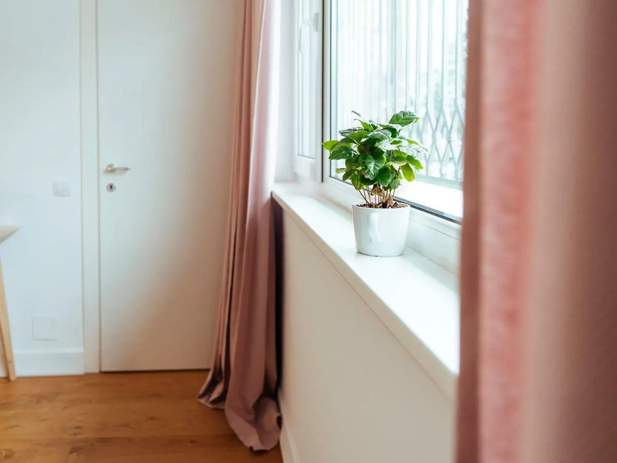 Boutique Luxury Flats - La Maison Du Petit Paris Bukurešť 0*,